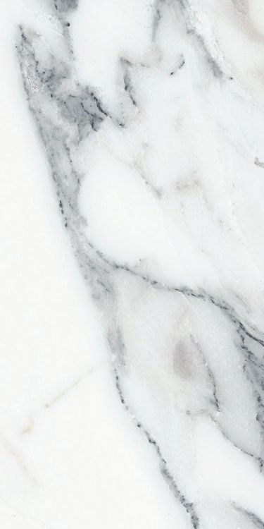 Origines Argent Glossy 12 x 24